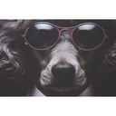 8424002166847_S3058467_P10