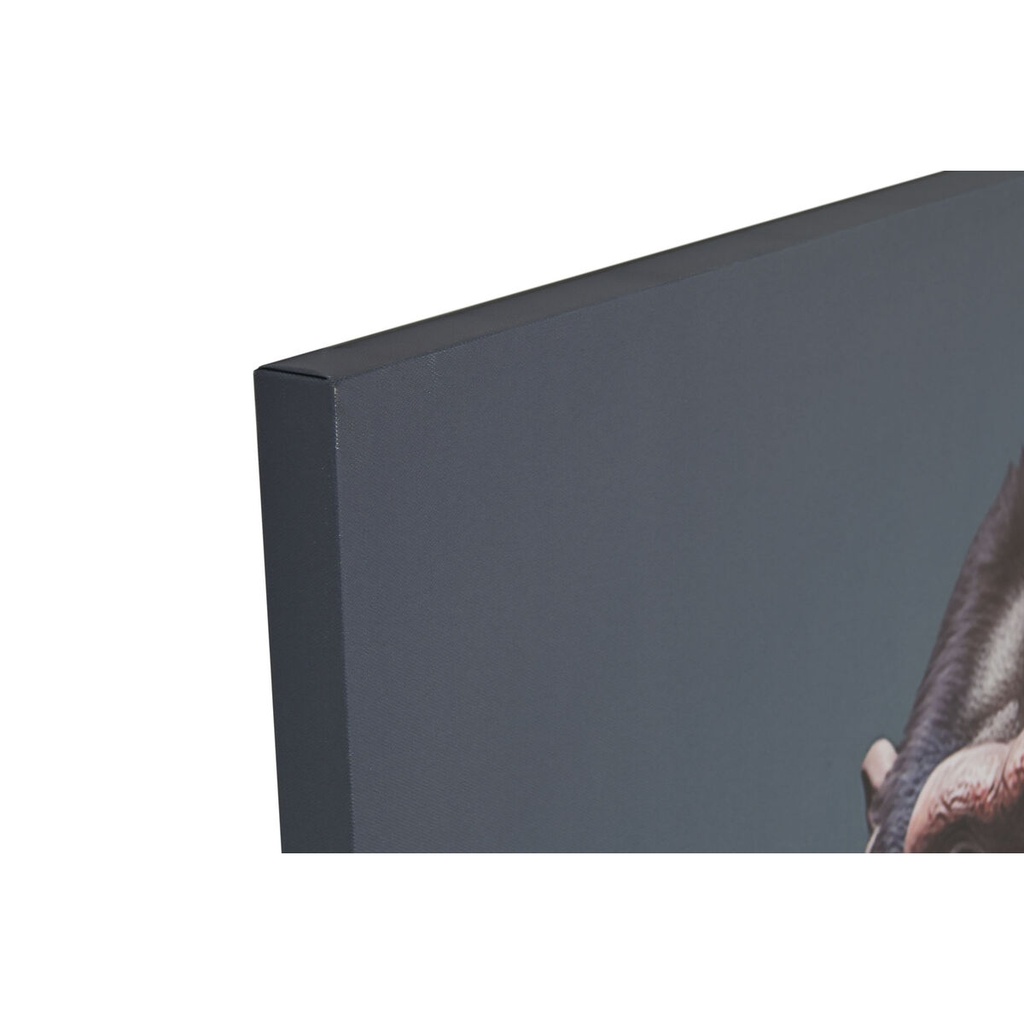 8424002166847_S3058467_P00