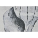 8424002180393_S3059853_P10