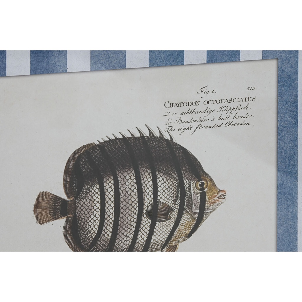 8424002180416_S3059855_P10