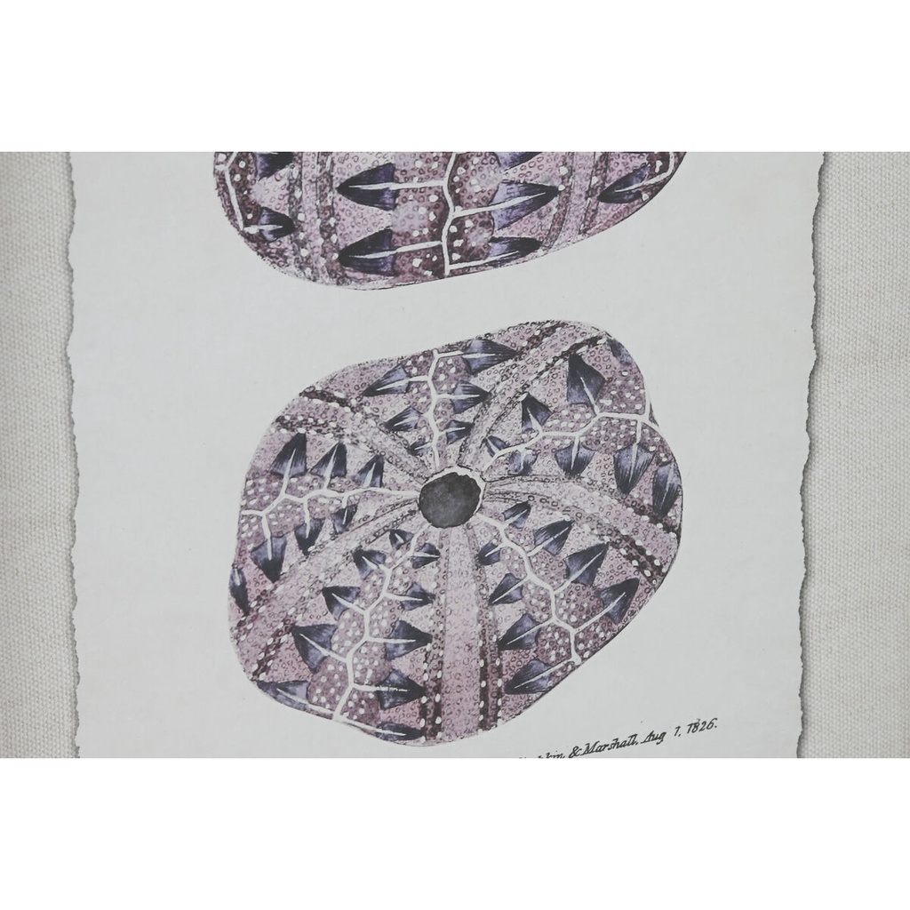 8424002180430_S3059857_P10