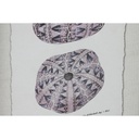 8424002180430_S3059857_P10