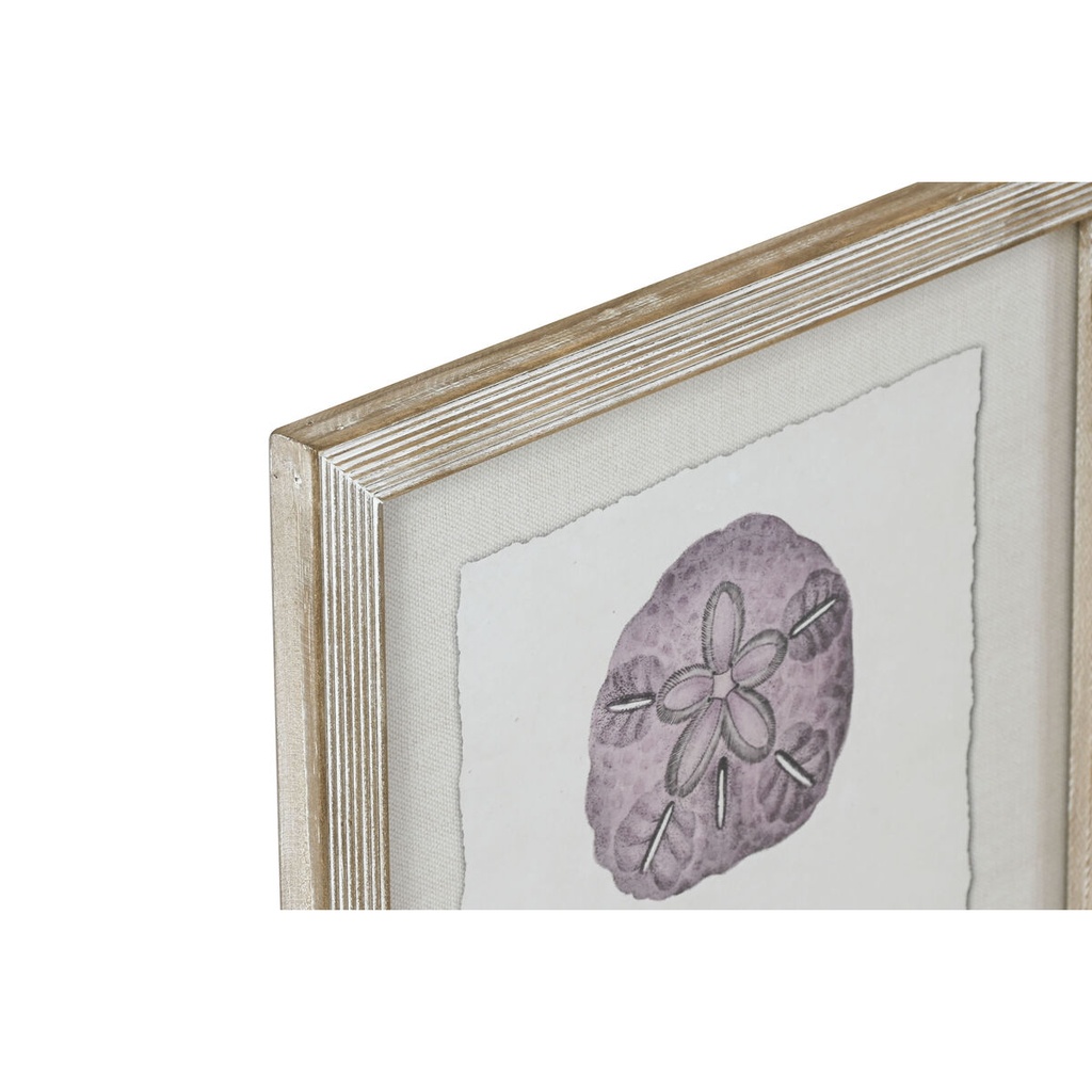 8424002180430_S3059857_P00