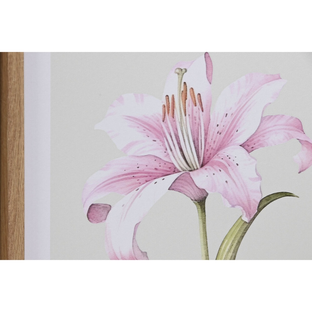 8424002185039_S3060029_P10