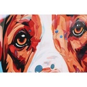 8424002184681_S3060083_P10