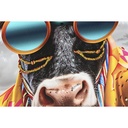 8424002202842_S3060517_P20