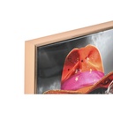 8424002202842_S3060517_P00