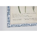 8424002184865_S3060556_P10