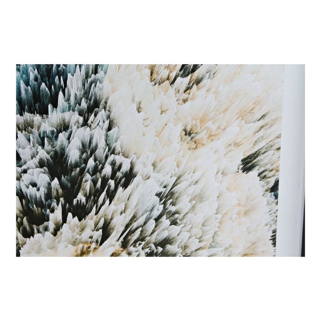 8424001804337_S3013700_P11