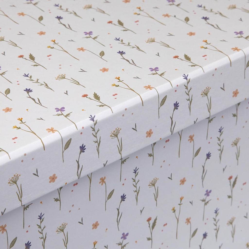 8420327555687_S3412930_P10