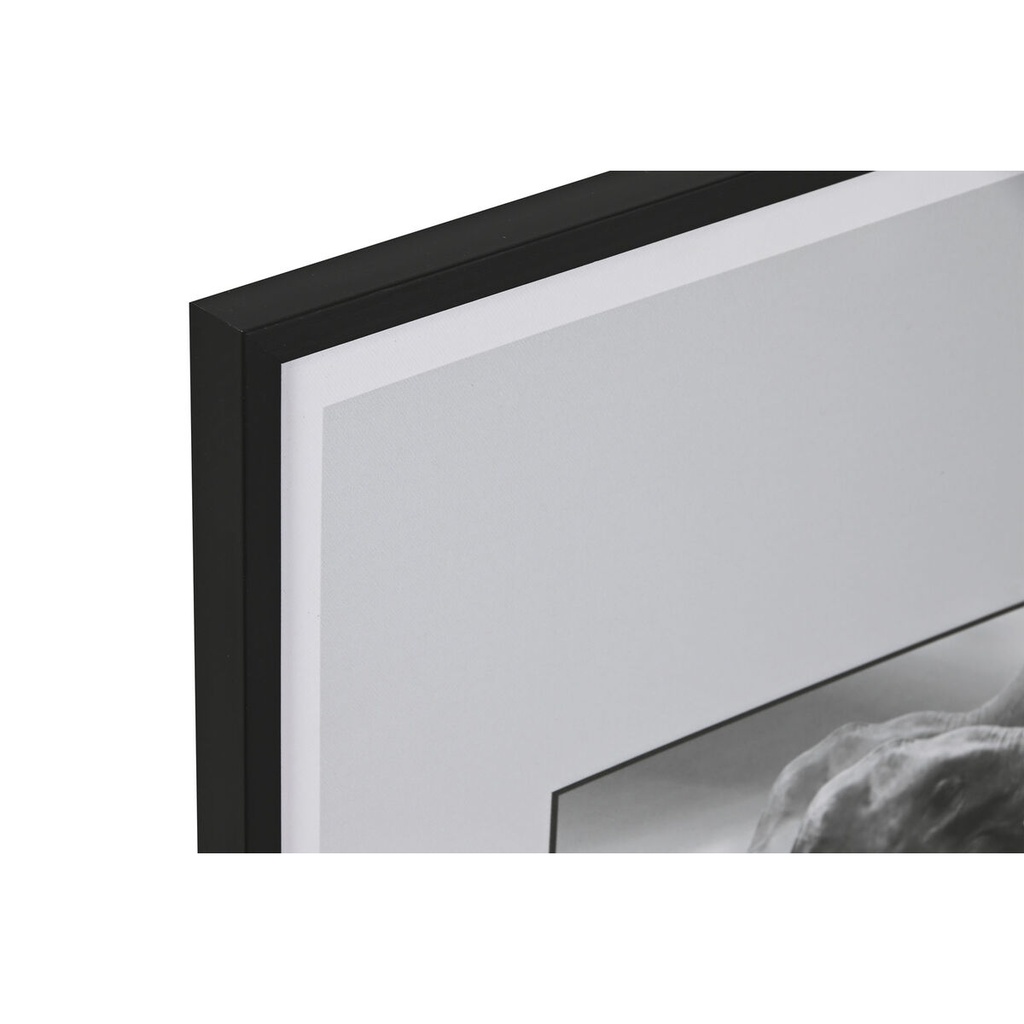 8424002184995_S3060025_P00