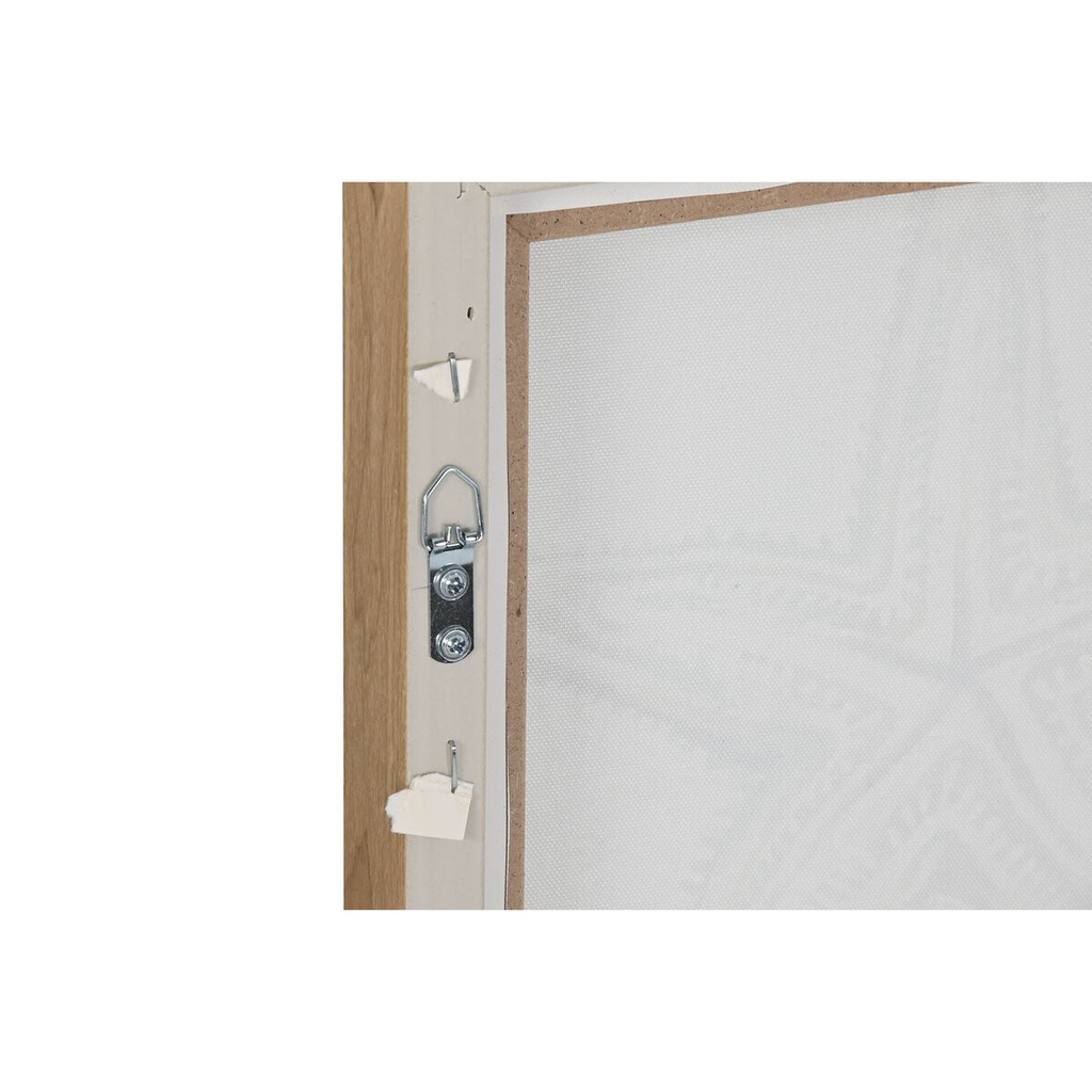 8424002181215_S3059947_P20