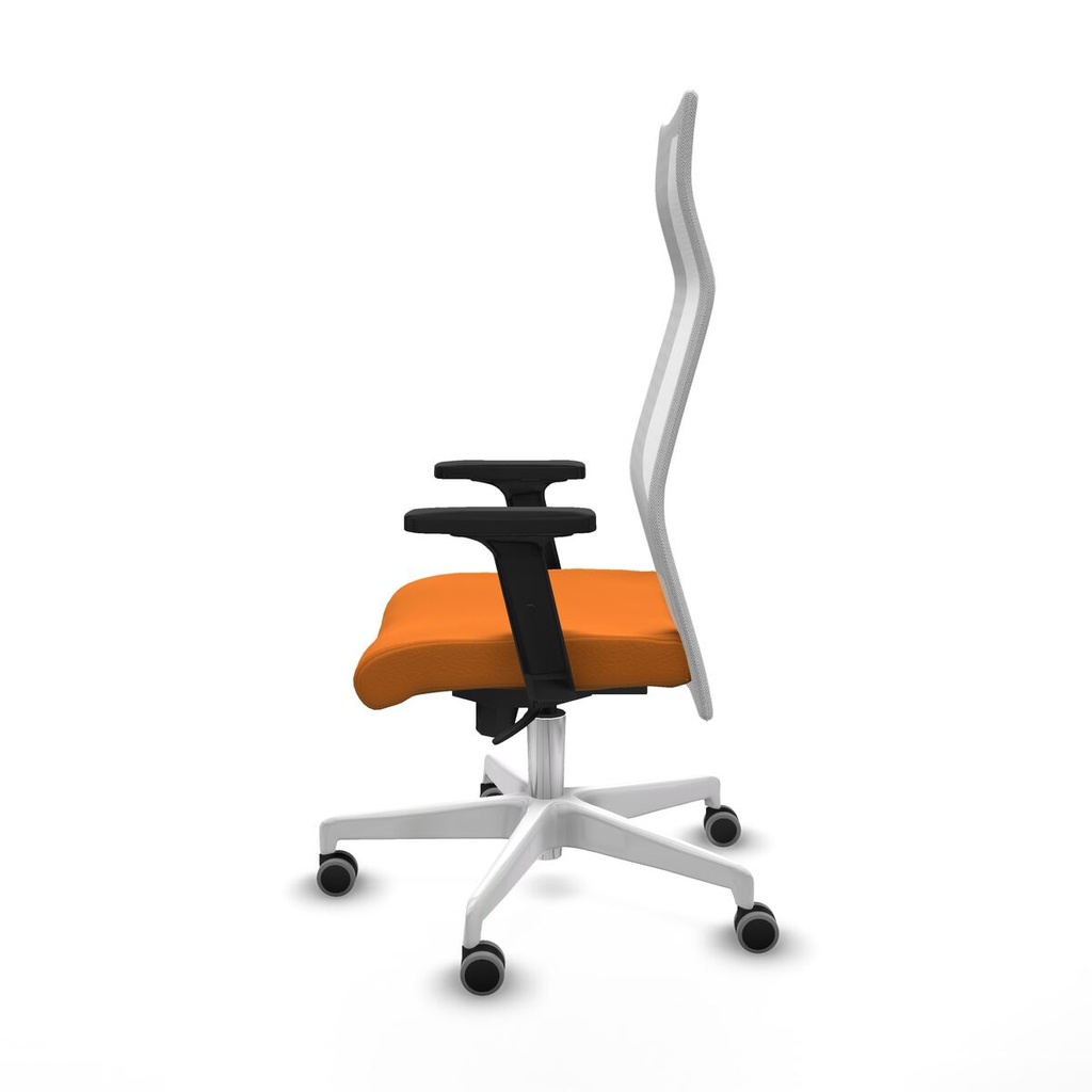 8447454226662_S5740277_P20