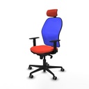 8447454334626_S5713144_P10