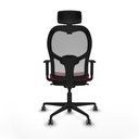 8447454373502_S5716112_P40