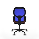 8447454334725_S5713154_P40