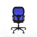 8447454335449_S5713226_P40