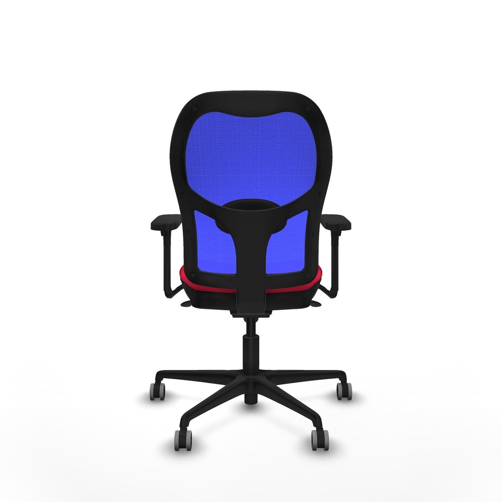 8447454335562_S5713238_P40