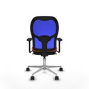 8447454335296_S5713211_P40