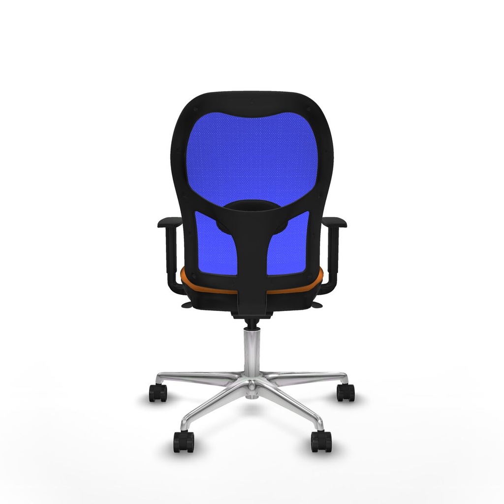 8447454344052_S5713880_P40