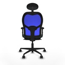 8447454336927_S5713374_P40