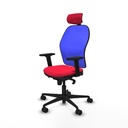 8447454335494_S5713231_P10