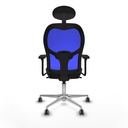 8447454340313_S5713713_P40