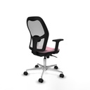 8447454355690_S5714791_P50