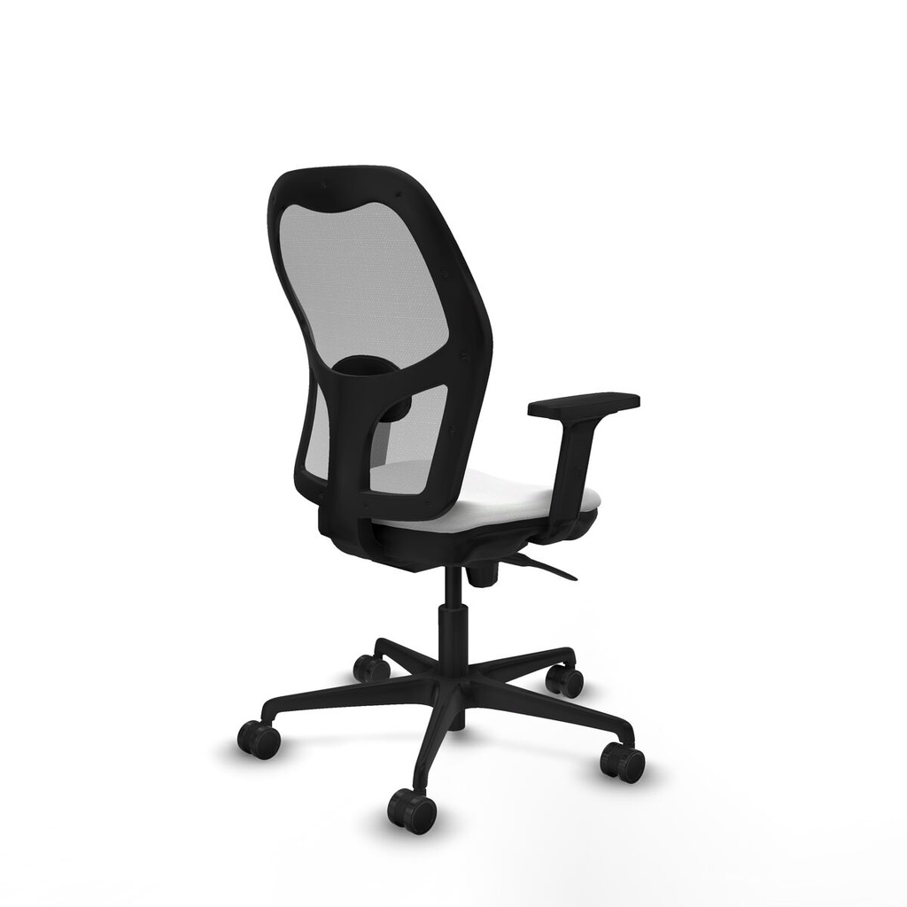 8447454364999_S5715261_P50