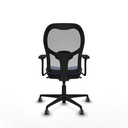 8447454366160_S5715378_P40