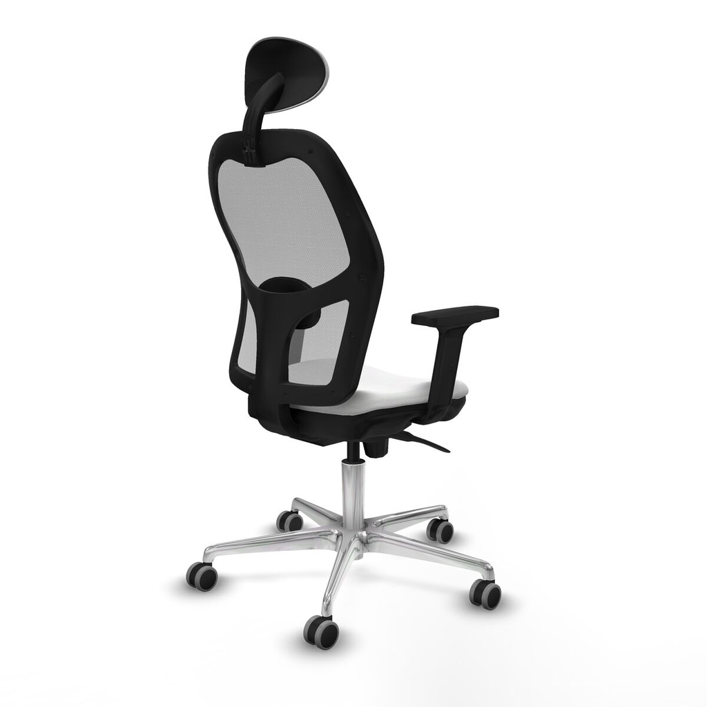 8447454365033_S5715265_P50