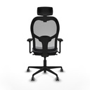 8447454366542_S5715416_P40