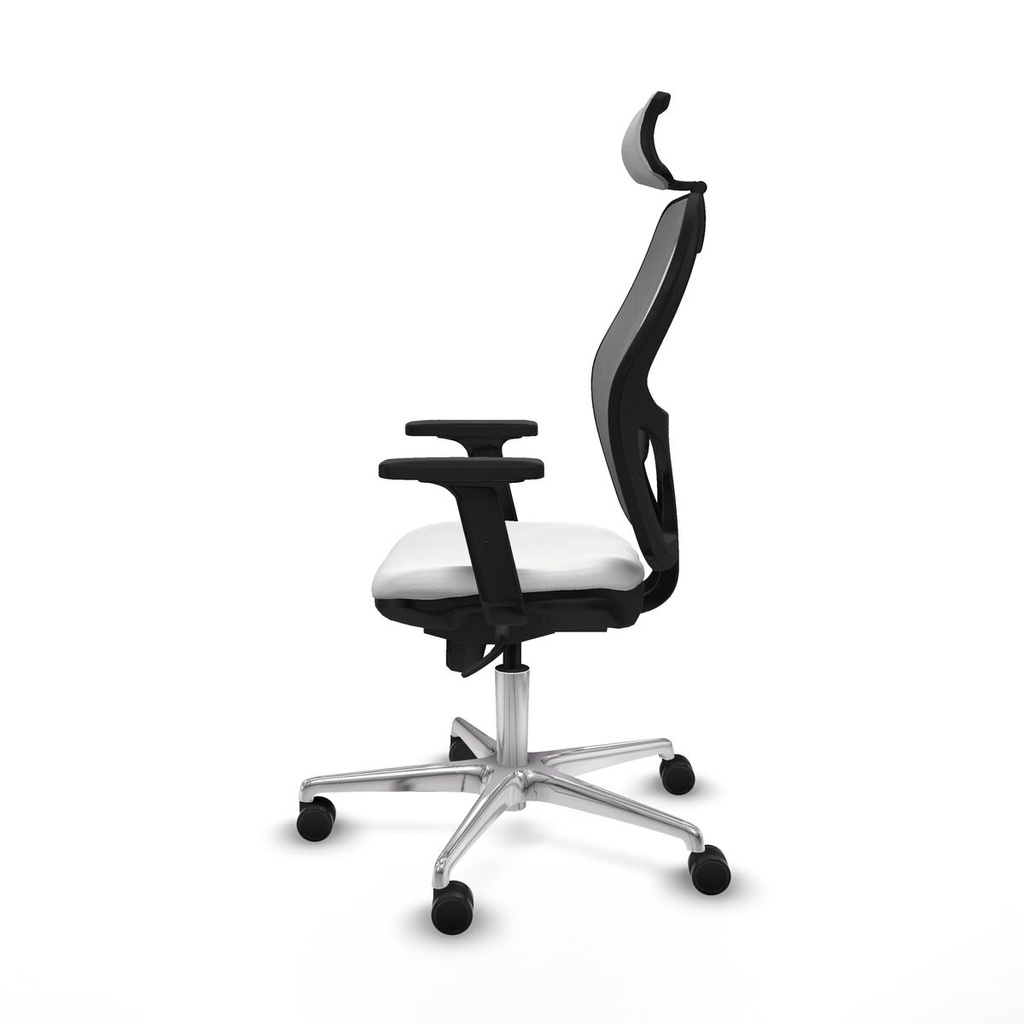 8447454365071_S5715269_P20