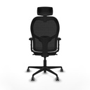 8447454381545_S5716456_P40