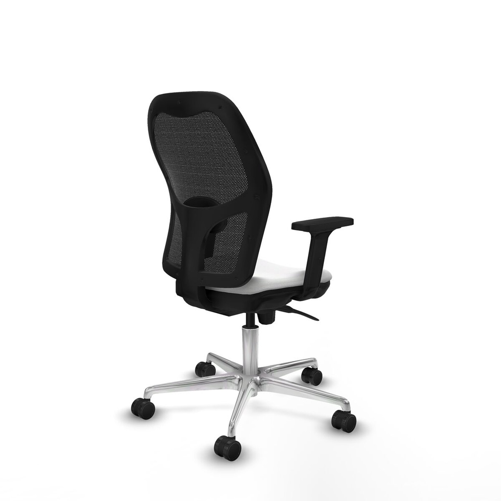 8447454381613_S5716463_P50