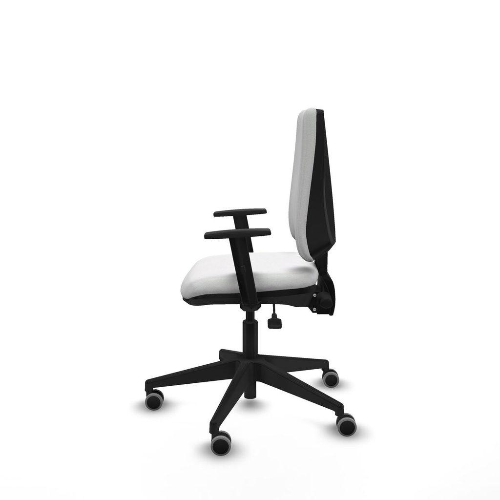 8447454254269_S5740862_P20