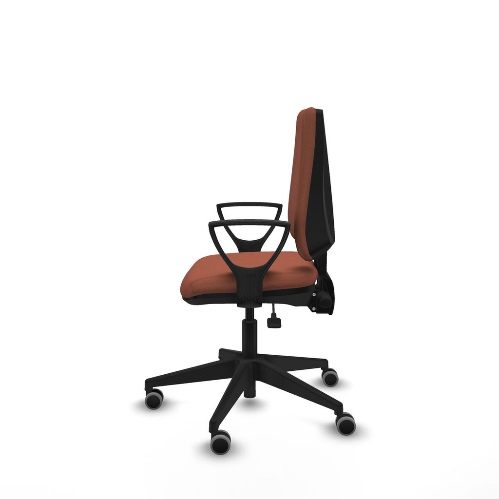 8447454255624_S5740997_P20