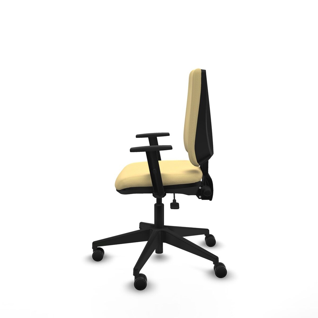 8447454258113_S5741245_P20