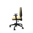 8447454258113_S5741245_P20