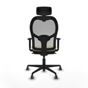 8447454376381_S5716239_P40