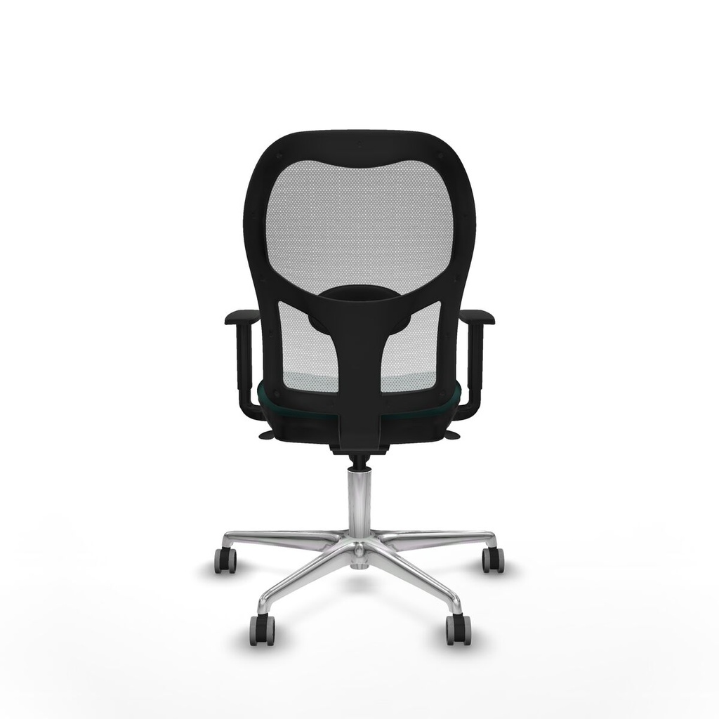 8447454362384_S5715138_P40