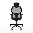 8447454370624_S5715824_P40