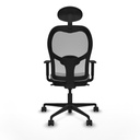 8447454374967_S5716189_P40