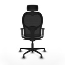 8447454386090_S5716912_P40