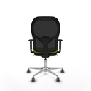 8447454392237_S5717413_P40