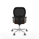 8447454393678_S5717465_P40