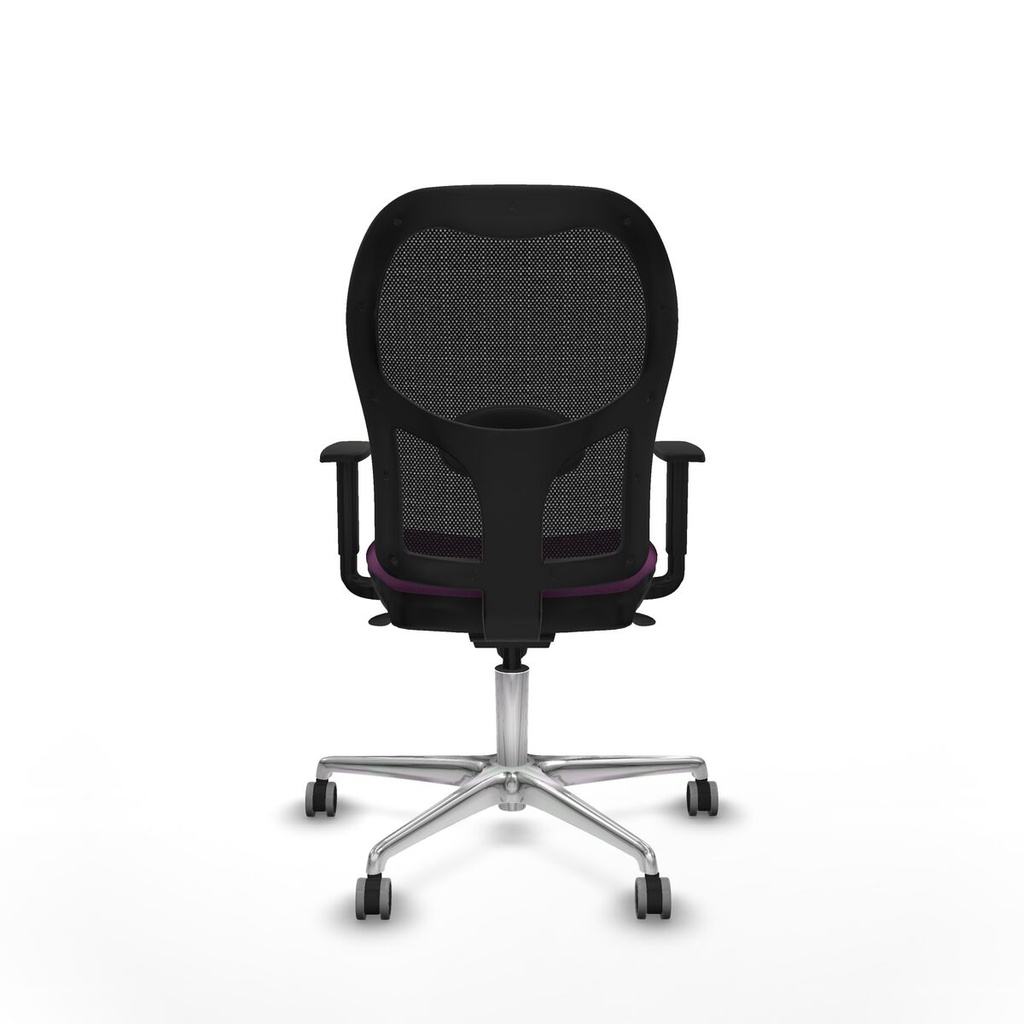 8447454396556_S5717569_P40