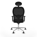 8447454396921_S5717583_P40