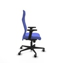 8447454531629_S5717619_P60