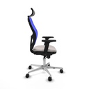 8447454341310_S5741930_P60